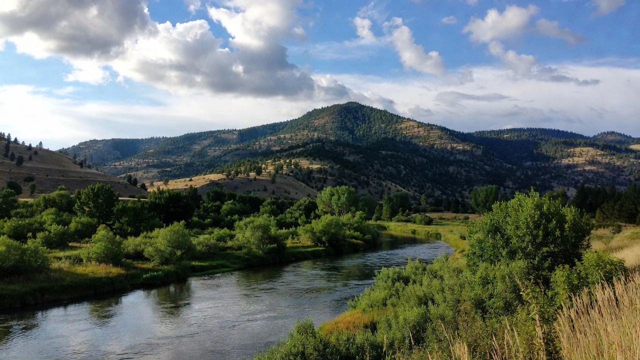 Swan Valley Idaho 1