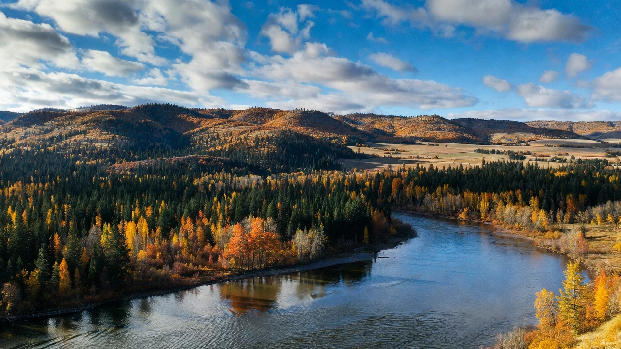 Swan Valley Idaho 2